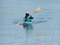 Image file: photo26.jpg