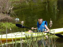 Image file: photo30.jpg