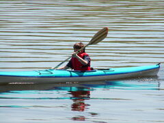 Image file: photo36.jpg