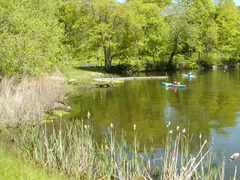 Image file: photo38.jpg