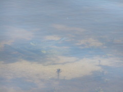 Image file: photo41.jpg