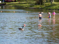 Image file: photo64.jpg