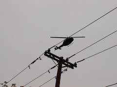 Image file: photo40.jpg