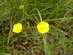 Image file: photo01.jpg