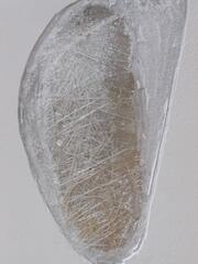 Image file: photo03.jpg