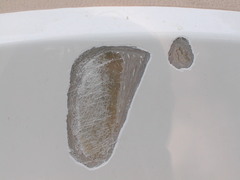 Image file: photo04.jpg