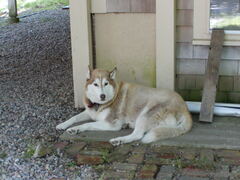 Image file: photo04.jpg