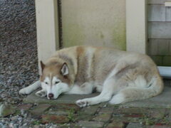 Image file: photo07.jpg