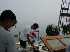 Image file: photo045.jpg