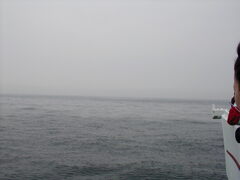 Image file: photo050.jpg