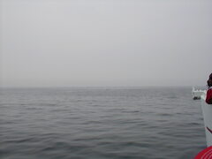 Image file: photo051.jpg