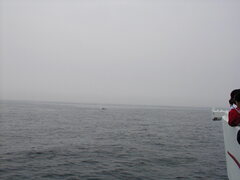 Image file: photo052.jpg