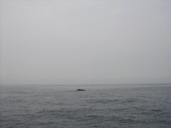 Image file: photo053.jpg