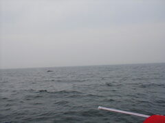 Image file: photo058.jpg