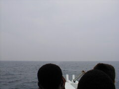 Image file: photo059.jpg