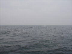 Image file: photo060.jpg