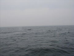 Image file: photo061.jpg