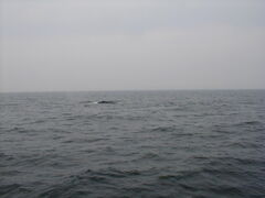 Image file: photo063.jpg