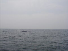 Image file: photo064.jpg