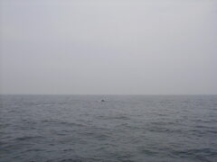 Image file: photo067.jpg