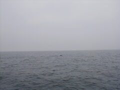 Image file: photo068.jpg