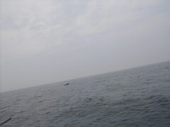 Image file: photo069.jpg