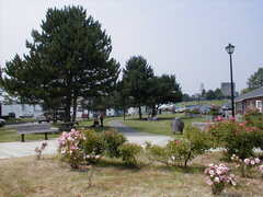 Image file: photo079.jpg