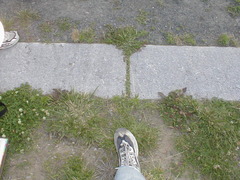 Image file: photo095.jpg