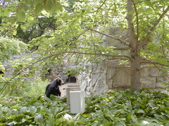 Image file: photo120.jpg