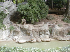 Image file: photo122.jpg