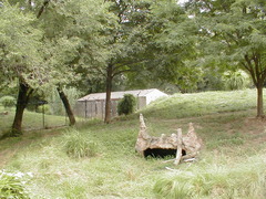 Image file: photo125.jpg