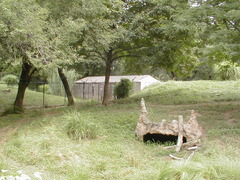 Image file: photo126.jpg