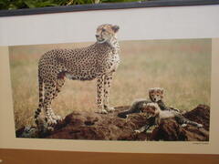 Image file: photo128.jpg