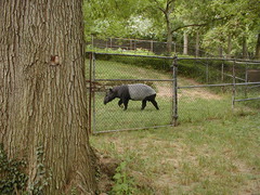 Image file: photo129.jpg