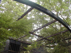 Image file: photo130.jpg