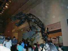 Image file: photo132.jpg