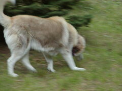 Image file: photo02.jpg