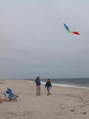 Image file: photo01.jpg