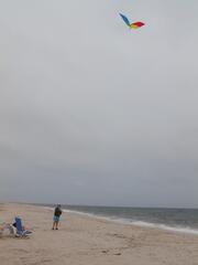 Image file: photo03.jpg