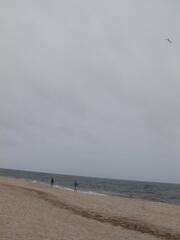 Image file: photo12.jpg