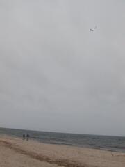 Image file: photo13.jpg