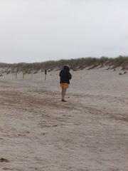 Image file: photo31.jpg