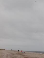 Image file: photo37.jpg