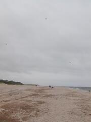 Image file: photo39.jpg