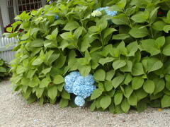 Image file: photo44.jpg