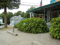 Image file: photo45.jpg