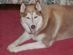 Image file: photo04.jpg