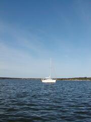 Image file: photo37.jpg