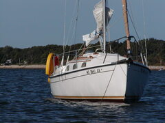 Image file: photo40.jpg