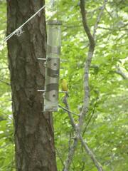 Image file: photo01.jpg